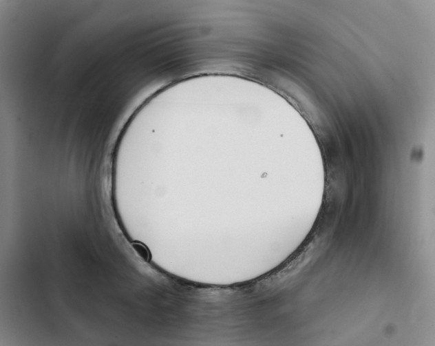 X0000102850804200809151126