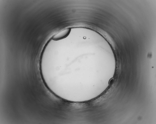 X0000102850805200809151126