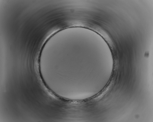 X0000102850806200809151126