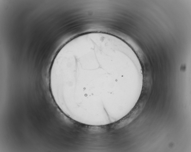 X0000102850807200809151126