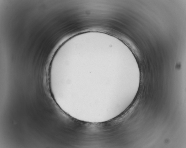 X0000102850808200809151126