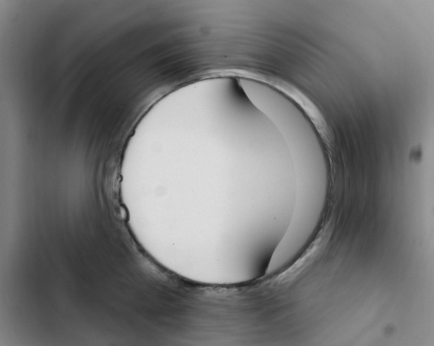 X0000102850809200809151126