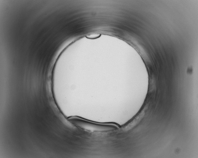 X0000102850812200809151126