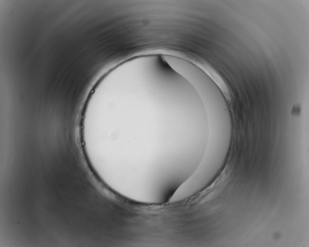 X0000102850813200809151126