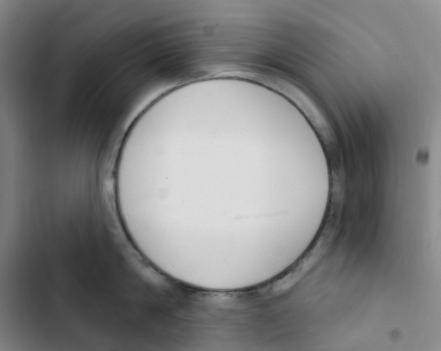 X0000102850814200809151126