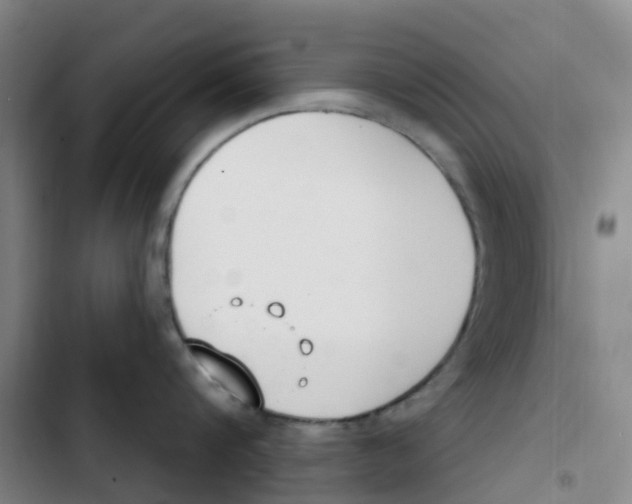 X0000102850816200809151126