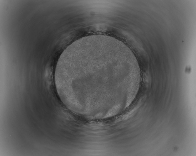 X0000102850818200809151125