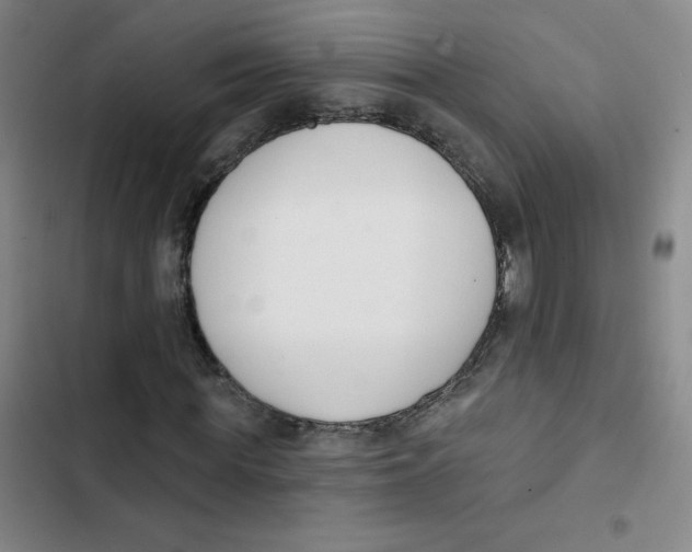 X0000102850819200809151125