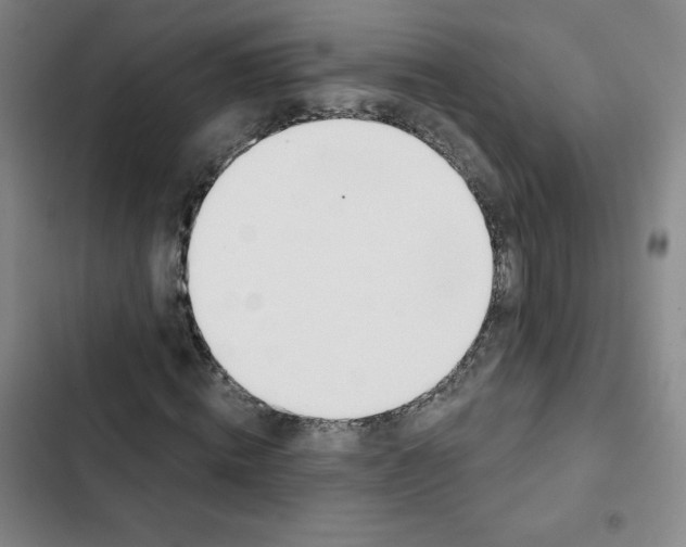 X0000102850820200809151125