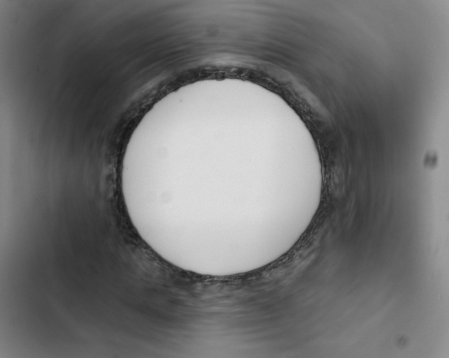 X0000102850821200809151125