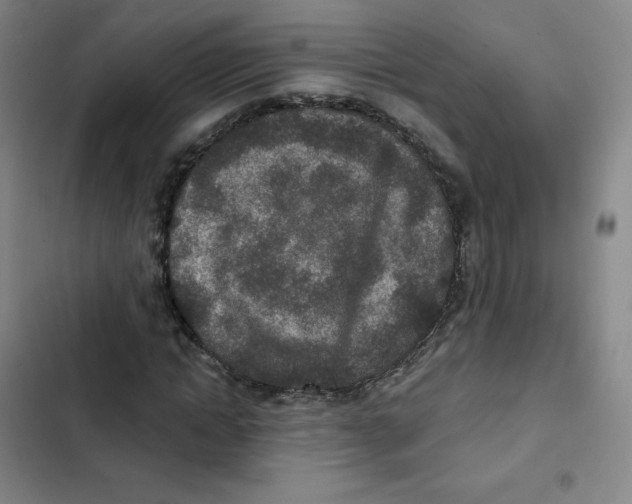 X0000102850822200809151125