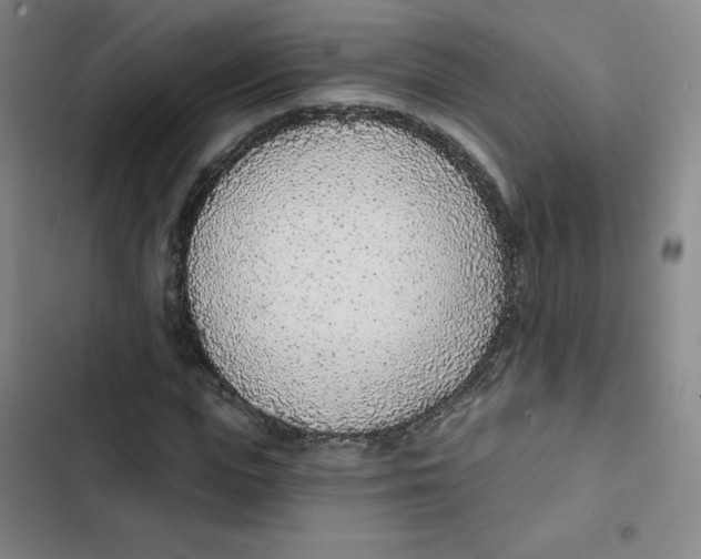 X0000102850823200809151125