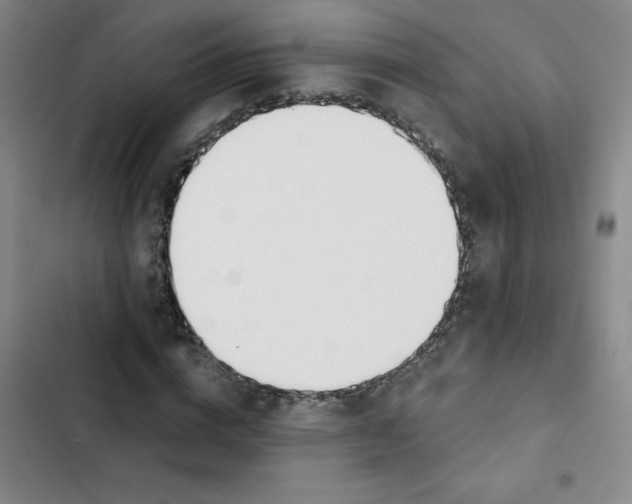 X0000102850824200809151125