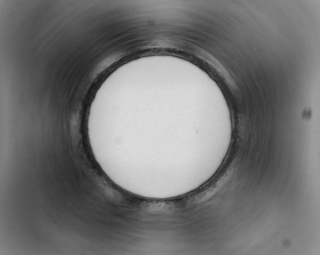 X0000102850826200809151125