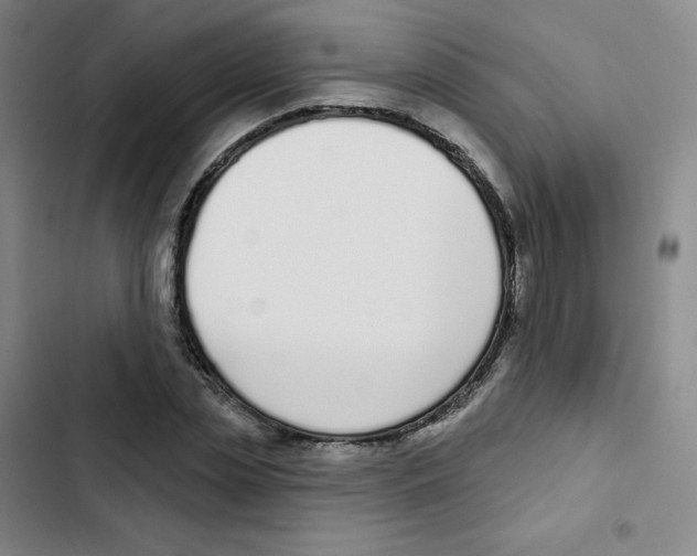 X0000102850829200809151125