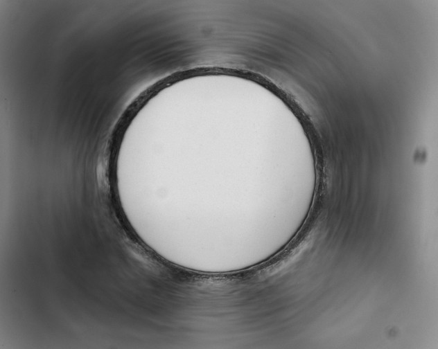 X0000102850830200809151125