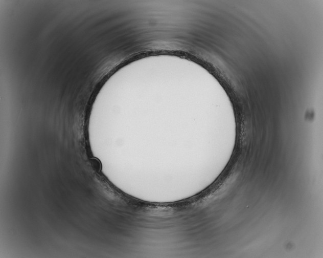 X0000102850833200809151125