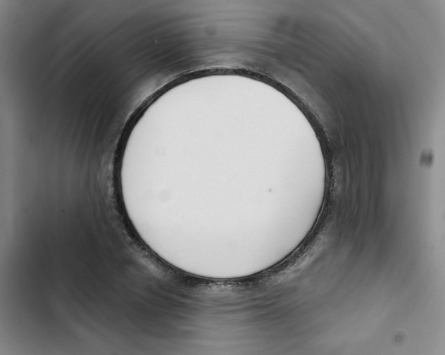 X0000102850834200809151125