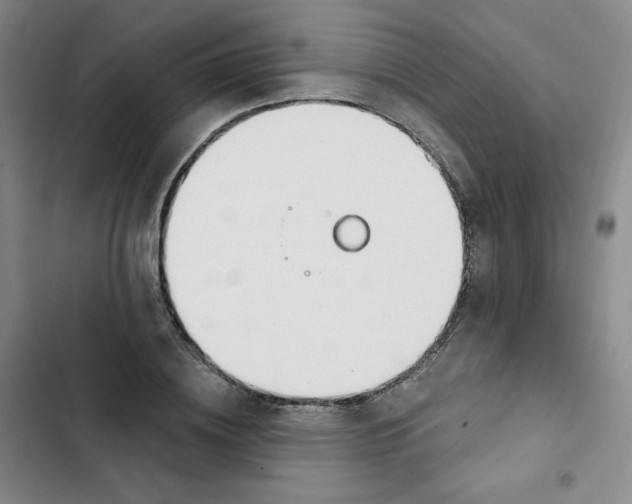 X0000102850836200809151125