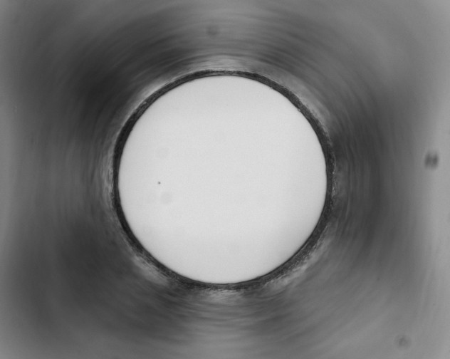 X0000102850837200809151125