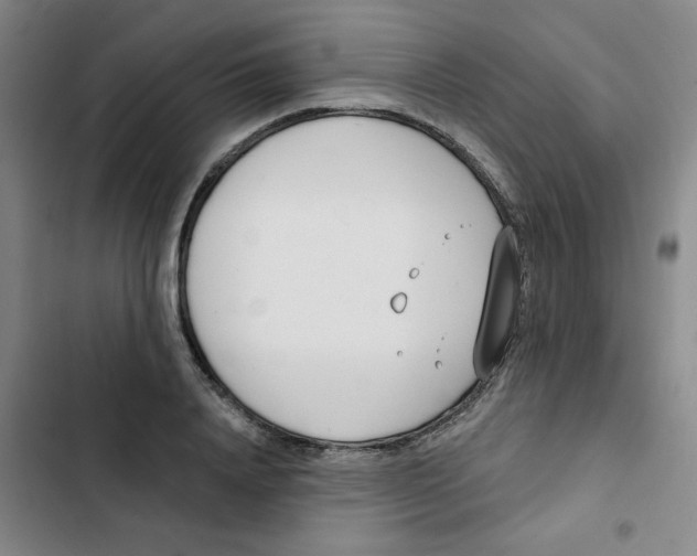 X0000102850840200809151125