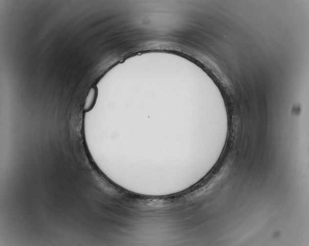 X0000102850841200809151125