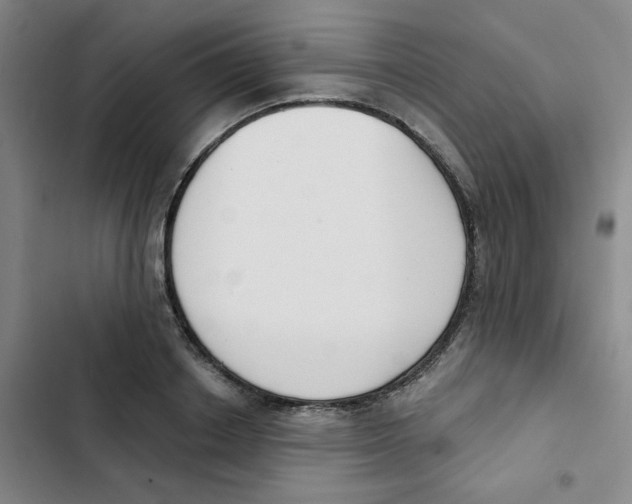 X0000102850842200809151125