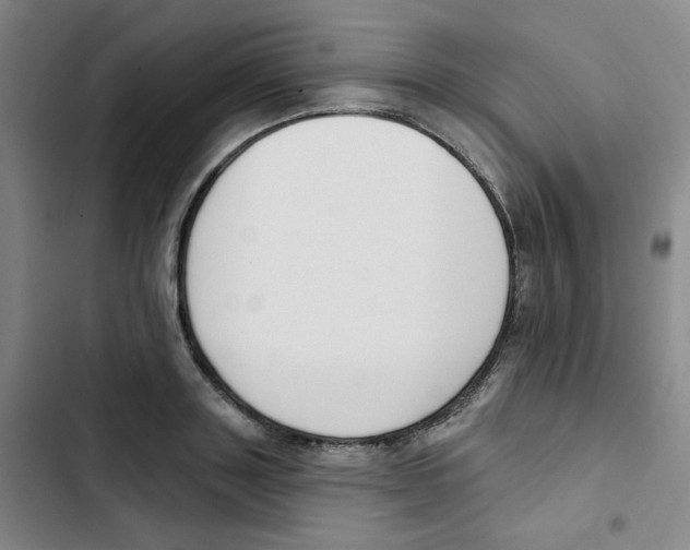 X0000102850843200809151125