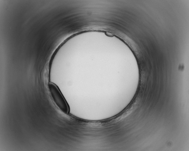 X0000102850844200809151125