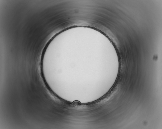 X0000102850845200809151125