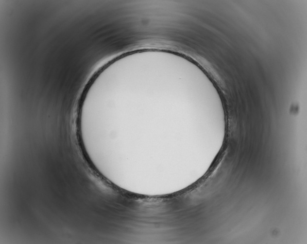 X0000102850846200809151125