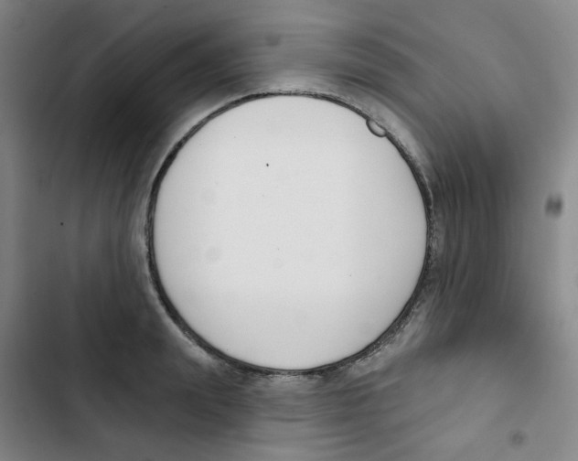 X0000102850847200809151125