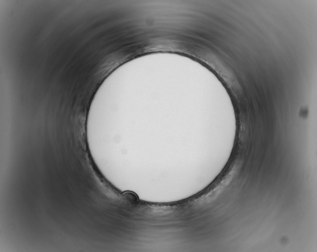 X0000102850849200809151125