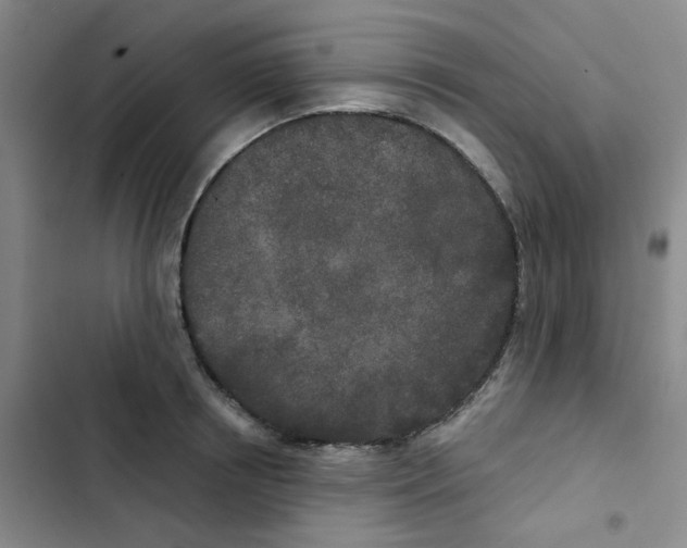 X0000102850850200809151125