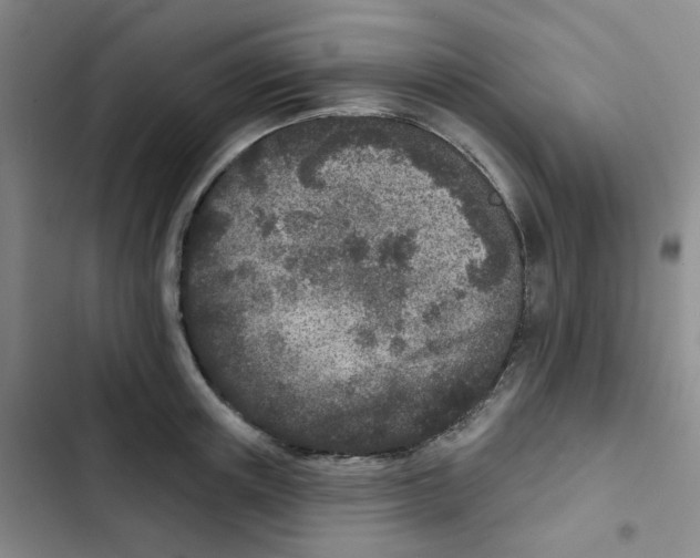 X0000102850851200809151125