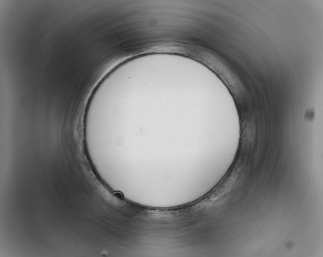 X0000102850852200809151125