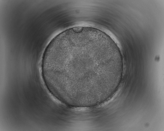 X0000102850853200809151126