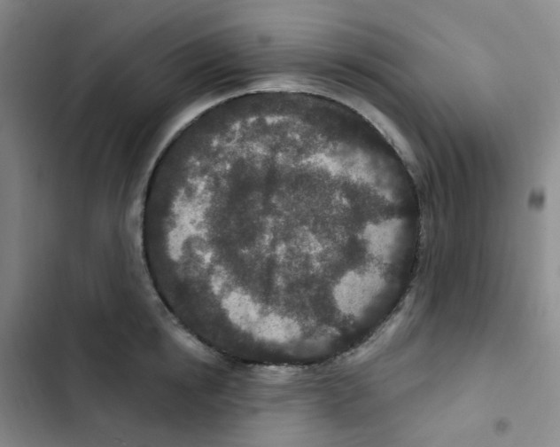 X0000102850854200809151126