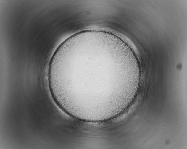 X0000102850855200809151126