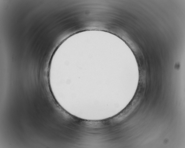 X0000102850856200809151126