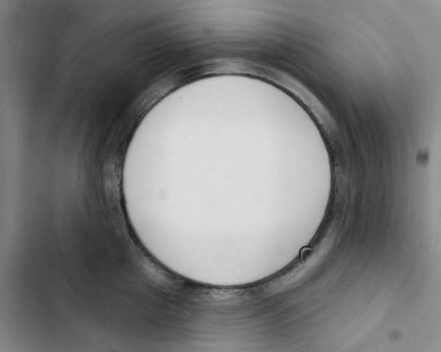 X0000102850857200809151126