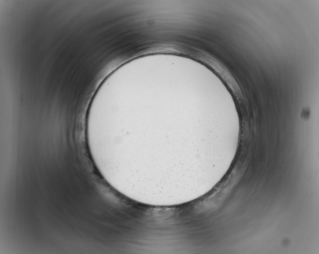 X0000102850858200809151126