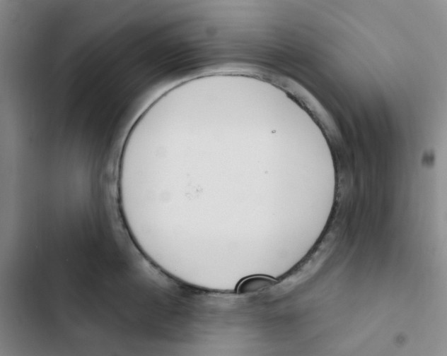 X0000102850860200809151126