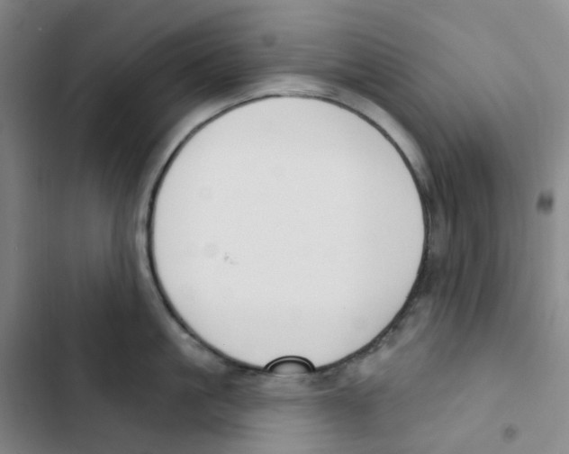 X0000102850861200809151126