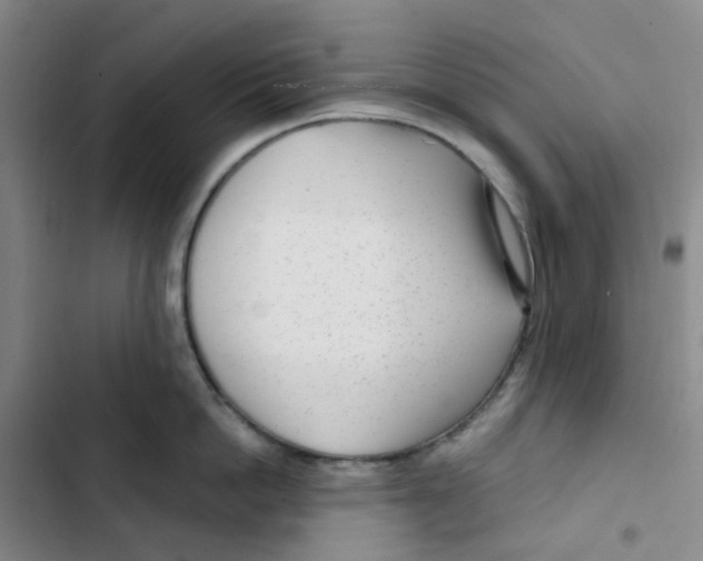 X0000102850862200809151126