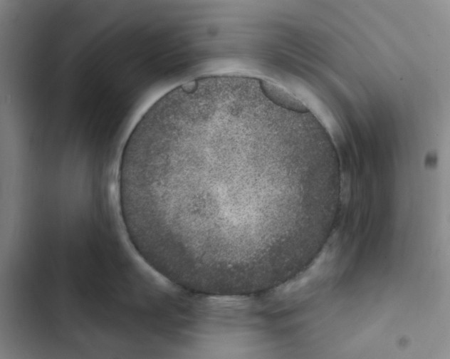 X0000102850863200809151126