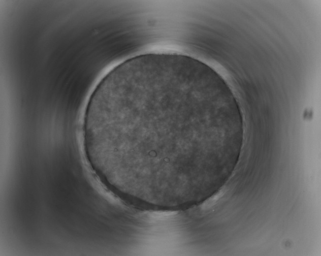 X0000102850864200809151126