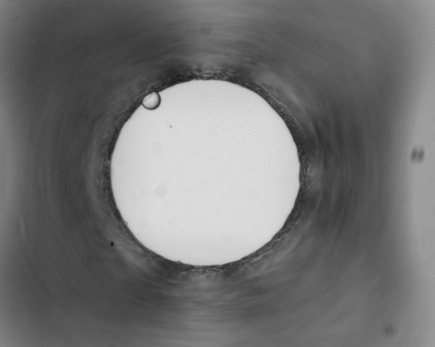 X0000102850865200809151125