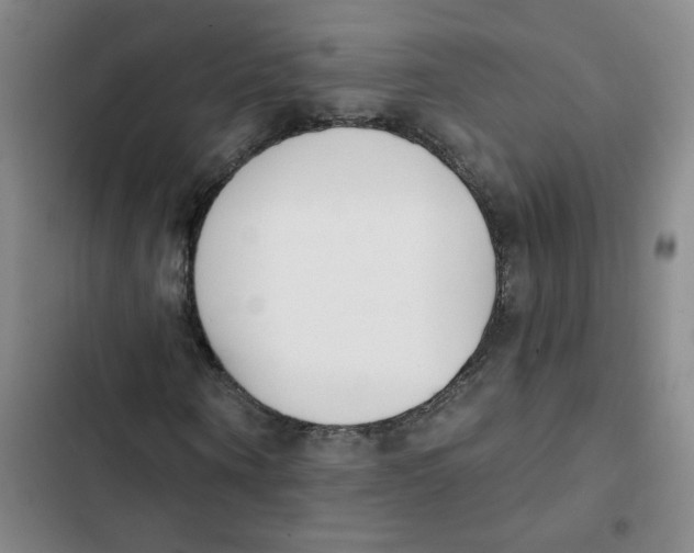 X0000102850866200809151125