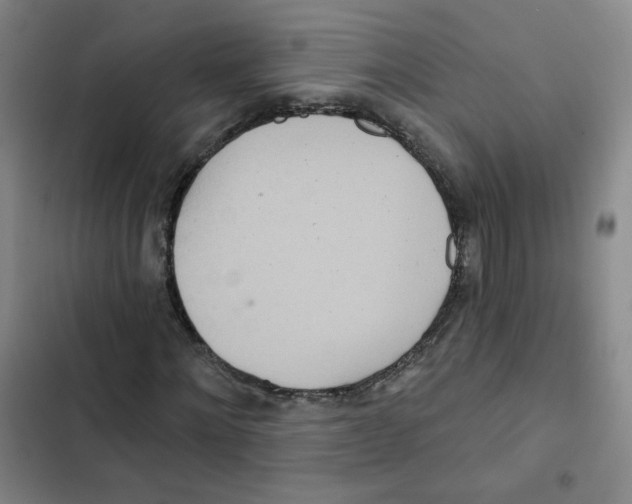 X0000102850868200809151125